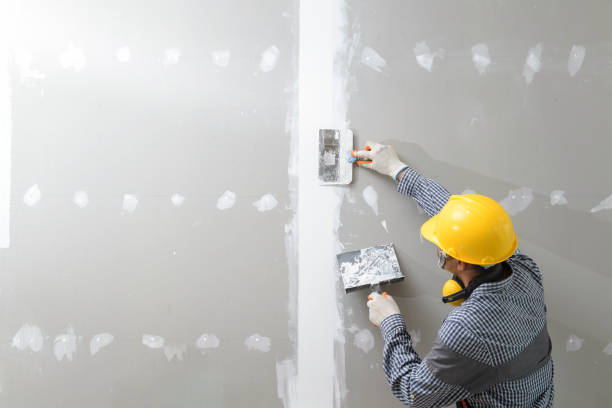 Best Black Mold Removal  in USA